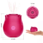 The Rose - Image 4